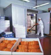 Mars Cold Storage